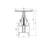 Válvula Flange Gate NRS Com Assento Resiliente - 2" - Image 2